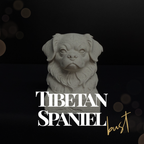 Tibetan Spaniel Bust