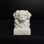 Tibetan Spaniel Bust