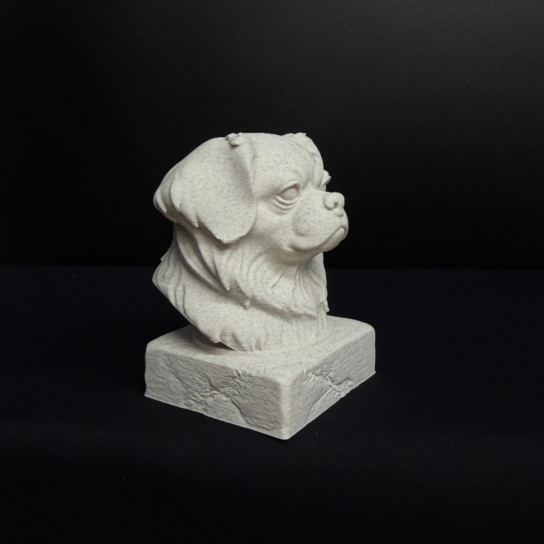 Tibetan Spaniel Bust