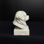 Tibetan Spaniel Bust
