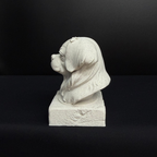 Tibetan Spaniel Bust