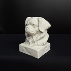 Tibetan Spaniel Bust