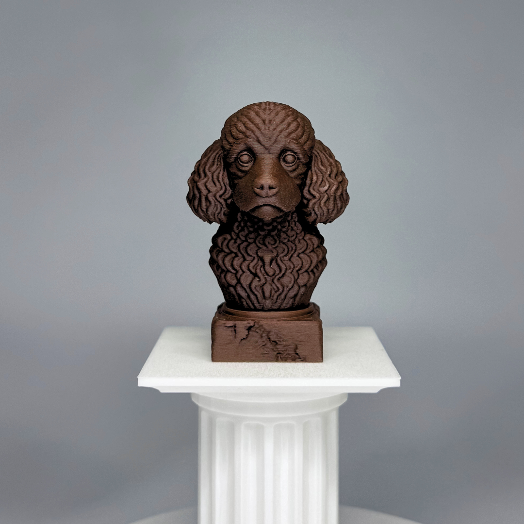 Toy Poodle Dog Bust