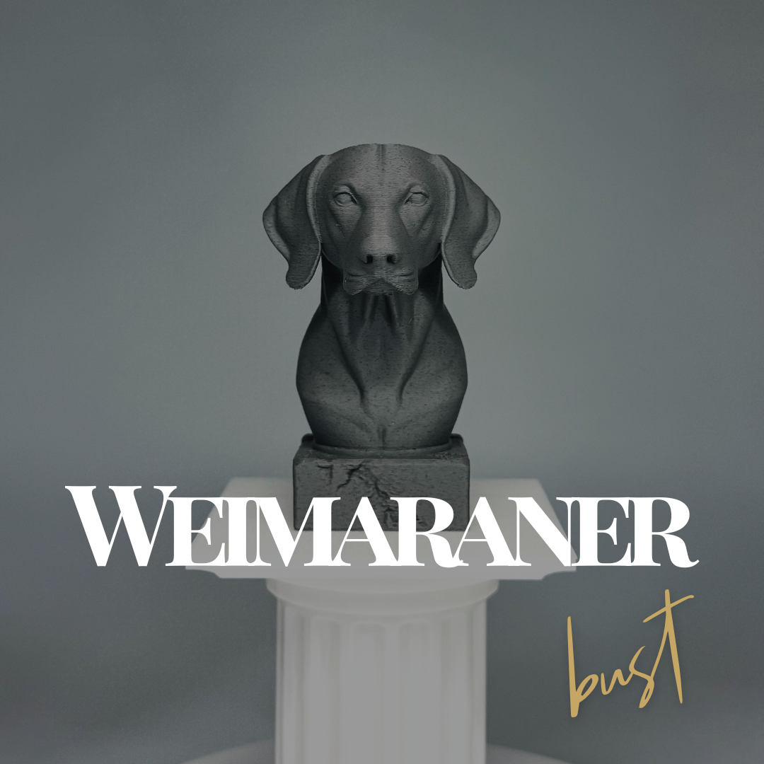 Weimaraner Bust