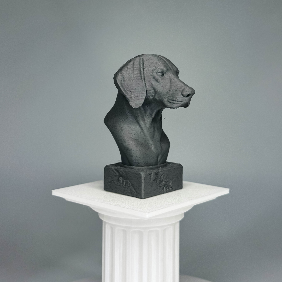 Weimaraner Bust