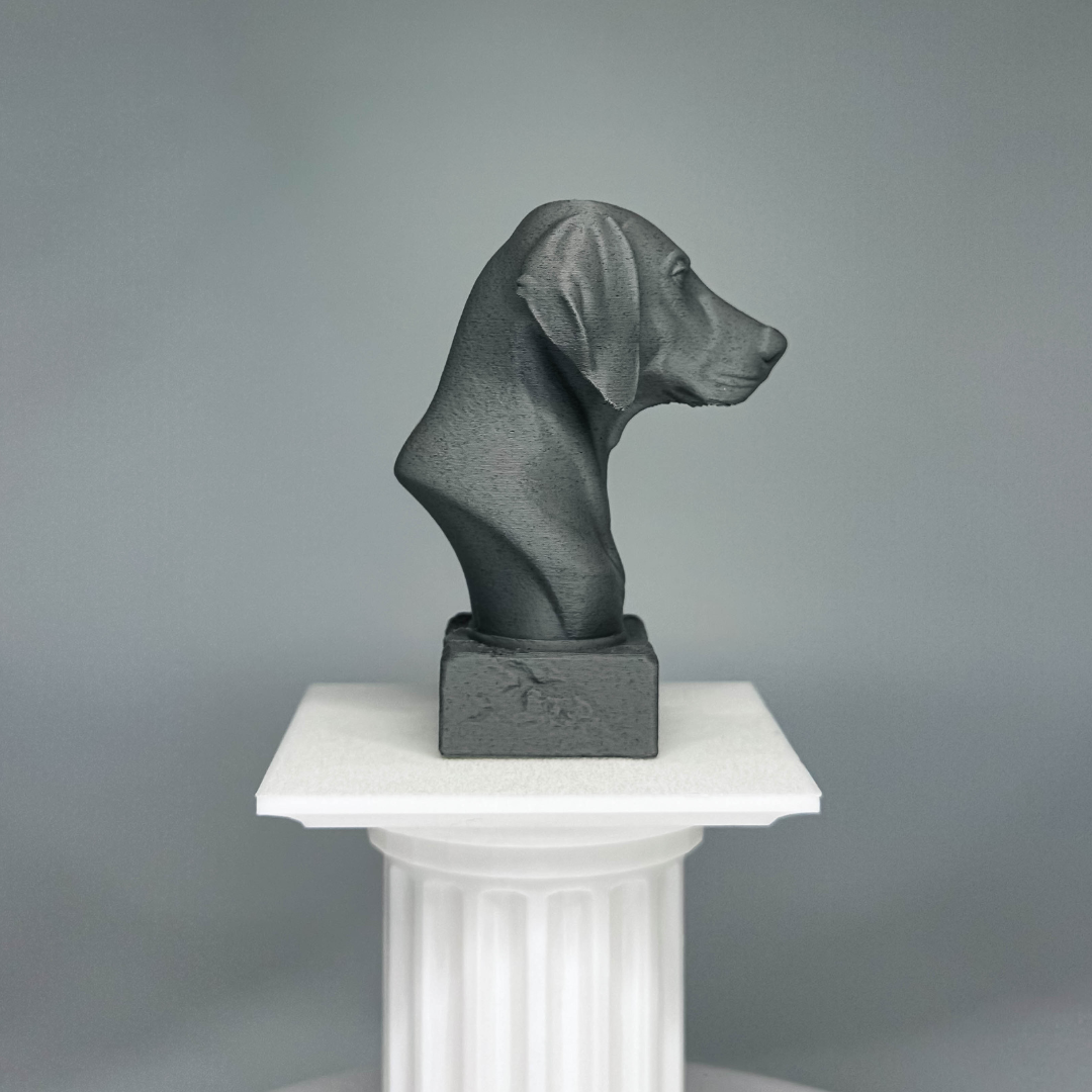 Weimaraner Bust