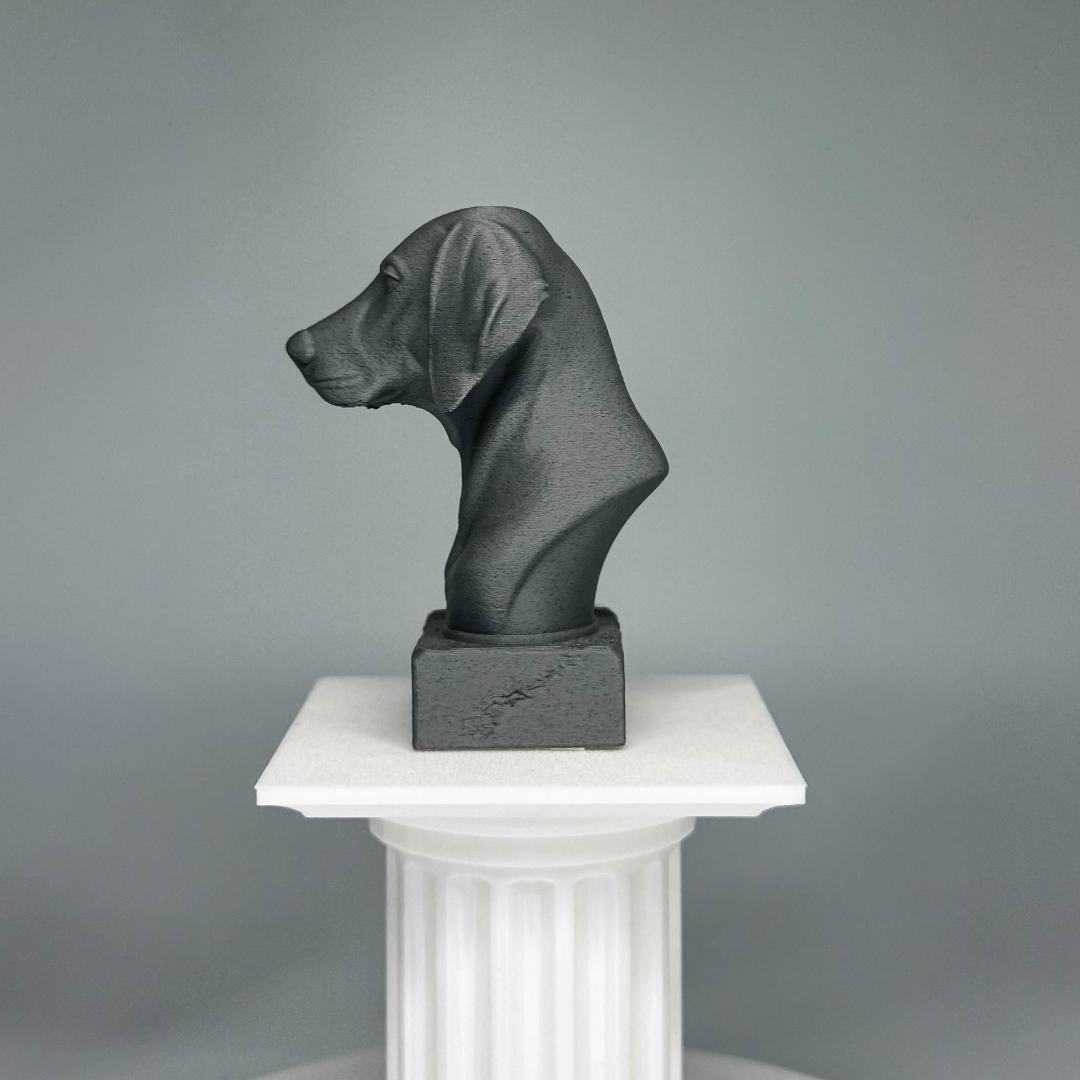 Weimaraner Bust