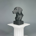 Weimaraner Bust