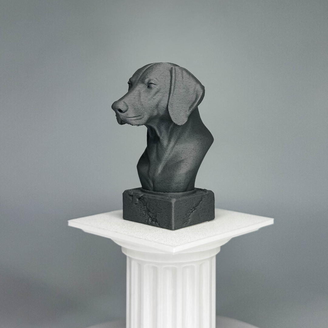 Weimaraner Bust