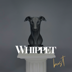 Whippet Bust