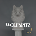 Wolf Spitz Bust