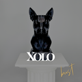 Xolo Dog Bust