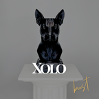 Xolo Dog Bust