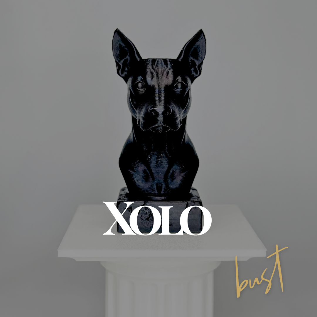 Xolo Dog Bust