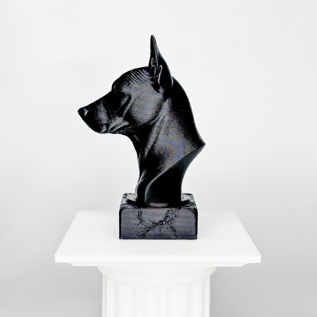 Xolo Dog Bust