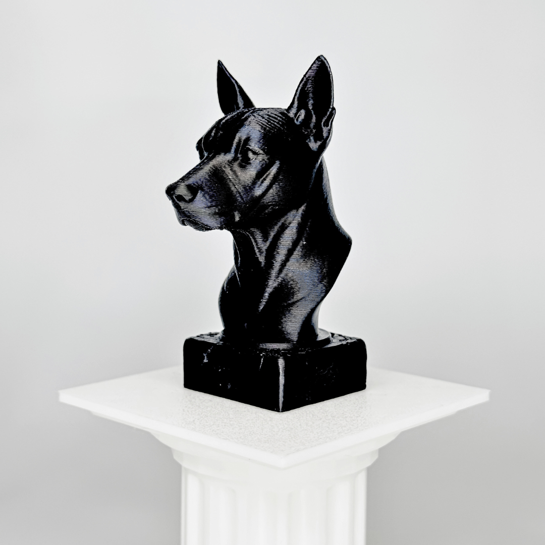 Xolo Dog Bust